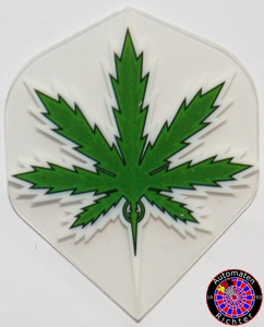 Bulls Polytec Flight Standard Hanf
